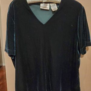 Velvety V neck top